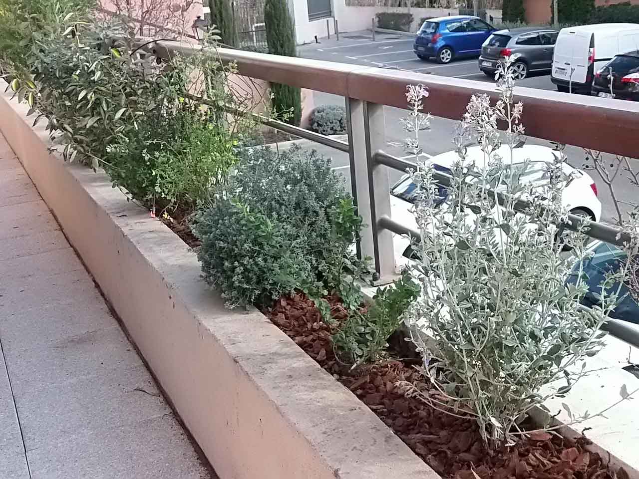 bio durable nature jardin paysagiste marseille